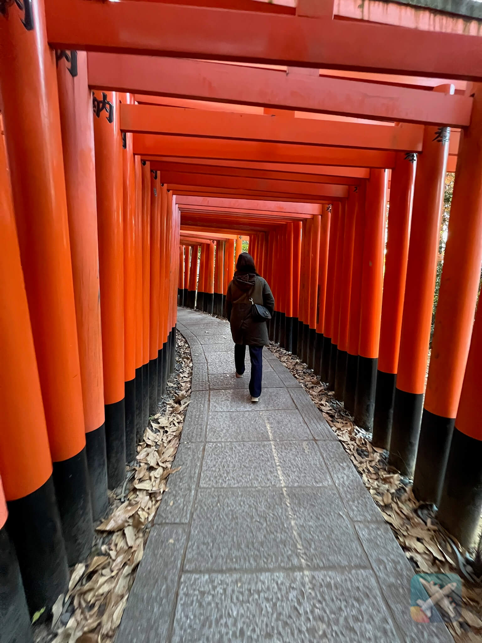 Torii Gates